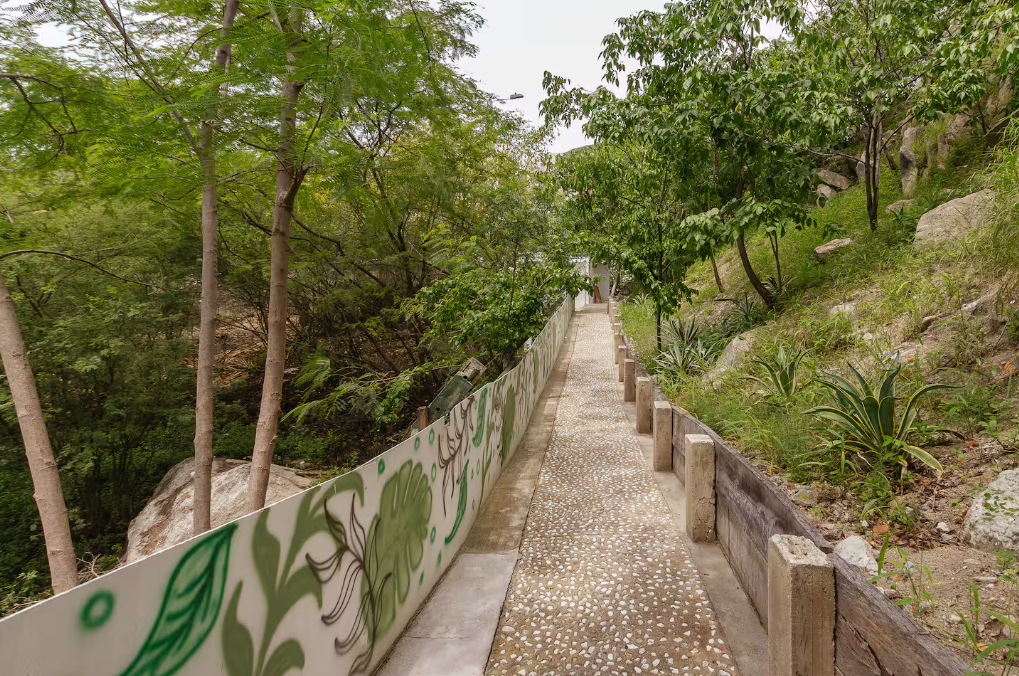 Senderos del complejo