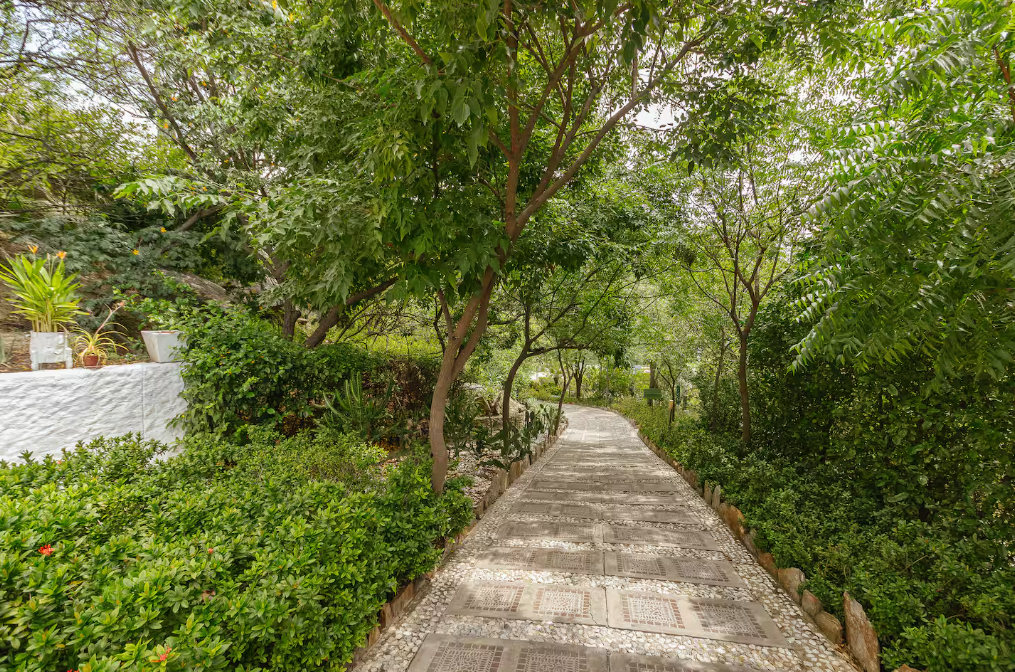 Caminos verdes del edificio